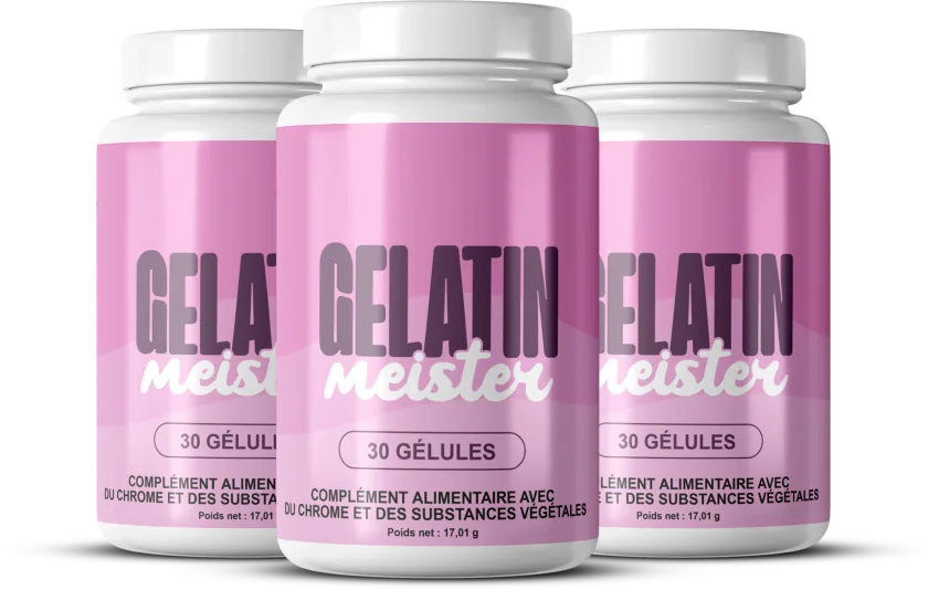 Gelatin Meister 3 Boîtes