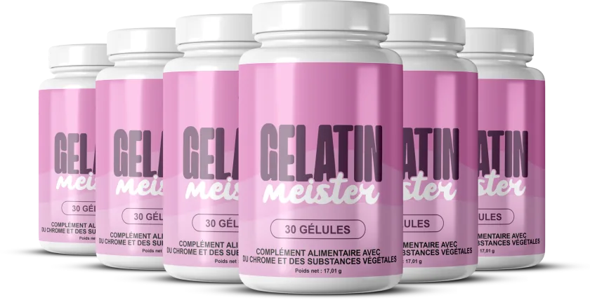 Gelatin Meister 6 Boîtes